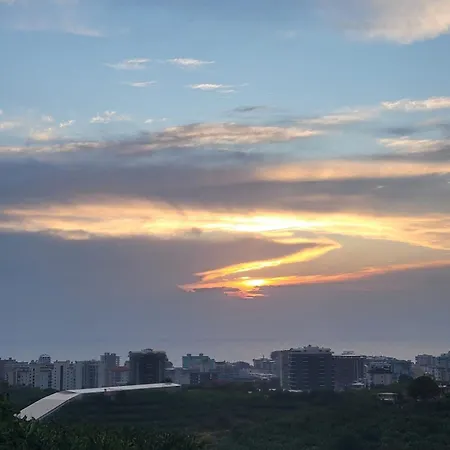 别墅 Jasminpark 阿拉尼亚
